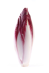 Endive rouge