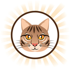 cat cartoon animal picture icon. Circle and colorful design. Vector illustration