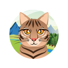 cat cartoon animal picture icon. Circle and colorful design. Vector illustration
