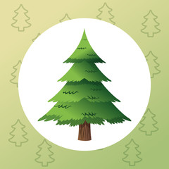pine tree plant icon. Merry christmas decoration. Colorful and circle design. Vector illustration