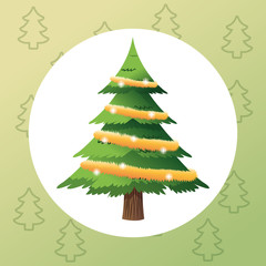 pine tree plant icon. Merry christmas decoration. Colorful and circle design. Vector illustration