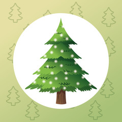 pine tree plant icon. Merry christmas decoration. Colorful and circle design. Vector illustration