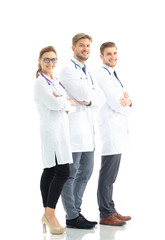 healthcare and medical - professional  team or group of doctors