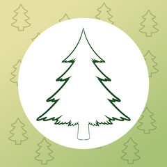 pine tree plant icon. Merry christmas decoration. Colorful and circle design. Vector illustration