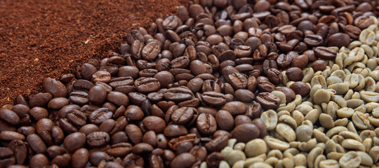 Green and dark coffee beans and ground coffee