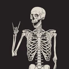 Fotobehang Human skeleton posing isolated over black background vector © croisy
