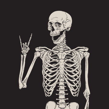 Human skeleton posing isolated over black background vector