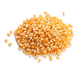 Corn pile isolated on white background, for popcorn