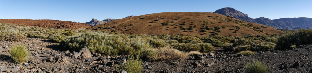 Nationalpark - beim Pico del Teide auf Teneriffa - UNESCO Weltnaturerbe - Cañadas 