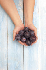 Plums in the hands of farmers on blue wooden board, top view