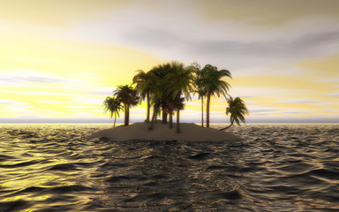 Palms on a small ocean island