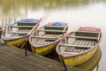 Obraz premium Entspannung bei einer Ruderbootfahrt auf einem kleinen See