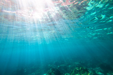 Fototapeta na wymiar Underwater blue background with sunbeams and copy space.