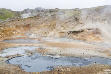 Hot mud pool in Seltun's geothermal area near Krysuvik. Thermal springs. Reykjanes peninsula, Iceland.