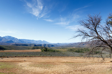 Obraz premium Clouds are talking to trees in The Swartberg Nature Reserve