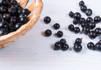 Blueberries in a basket