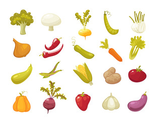 Ecological farming production classical vegetables icons set isolated on white background. vector illustration in retro style
