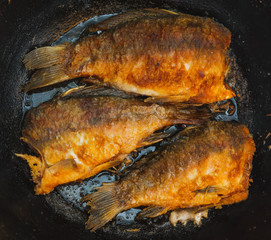 carp fishes on frying pan