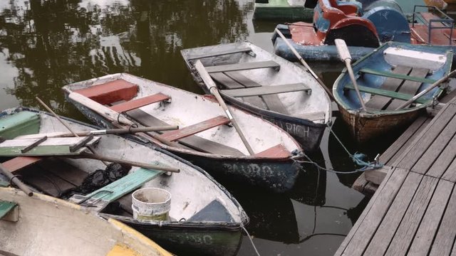 Wooden boats painted with bright colors on the pier of a natural park, Ecuador 
