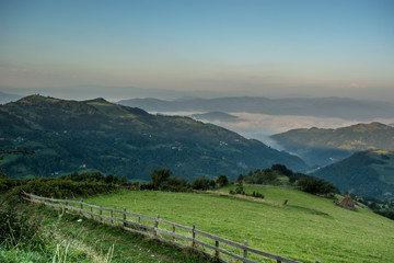 Foggy morning in national park Tara