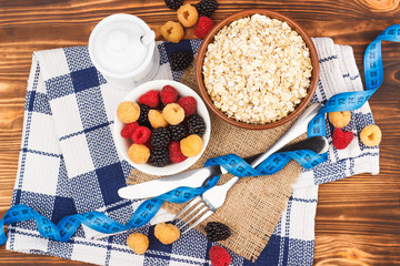 Portion of oatmeal in the bowl with different berries