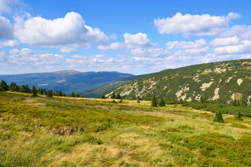 Highland slopes and meadows in green summer with white clouds