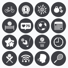 Sport games, fitness icon. Football, basketball.