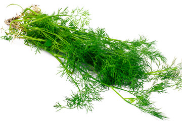 Fresh Juicy Dill Isolated on White Background