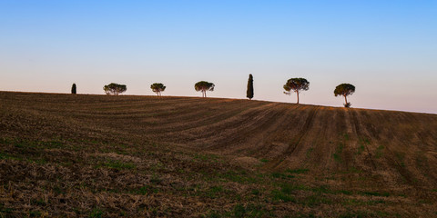 Fototapeta paysage italien avec des arbres sur la crête d'une colline au dessus d'un champ labouré obraz