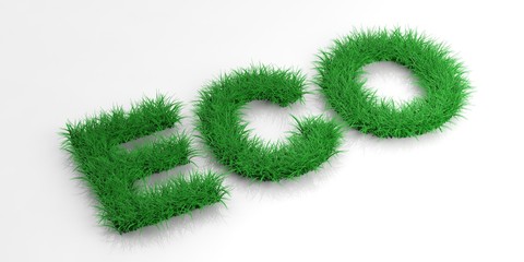 Word eco in grass. 3d illustration