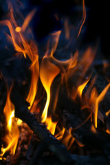 burning birch firewood