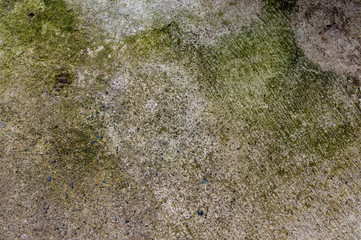 Concrete floor with interesting textured pattern