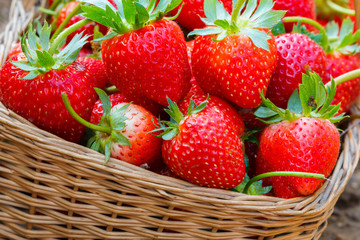 fresh strawberries in basket
