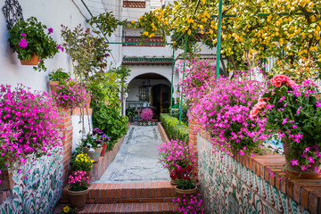 Granada, Spain - March 23, 2008 - Albaicin Neighborhood in Granada, Patio with beautiful flowers, Spain 