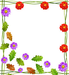 autumn leaves isolated on white background.