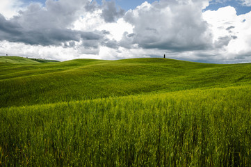 Val d'Orcia landscape