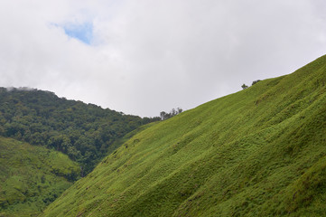 Fototapeta na wymiar Cloudy weather at mountain peak. Green grass on top of mountain.