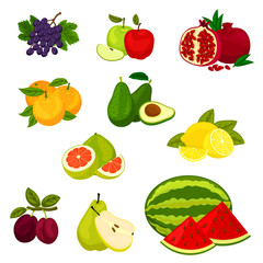 Fresh fruits isolated vector icons set.