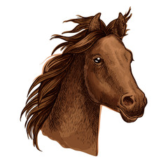 Brown horse portrait with waving mane
