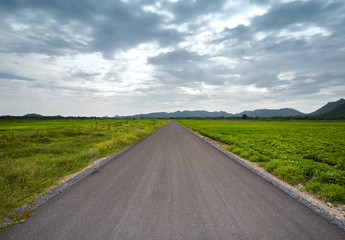 Fototapeta na wymiar asphalt road between field in cloudy day, country side at Lopbur