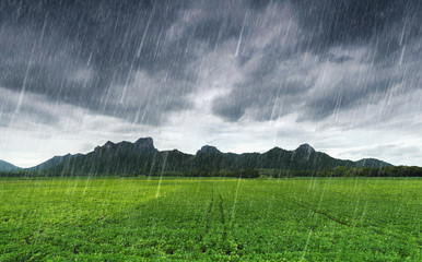 falling rain at Khao Jeen Lae, mountain at Lopburi, Thailand