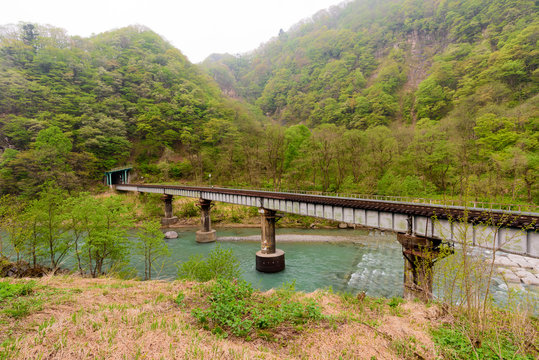 青空の下、田舎を走る日本の鉄道