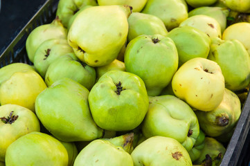 QUince fruit on display at the market