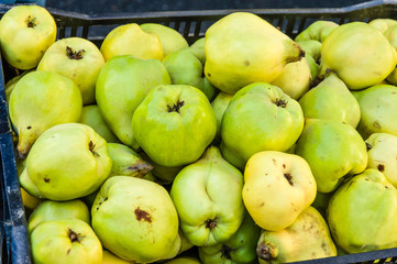 Quince fruit on display at the market