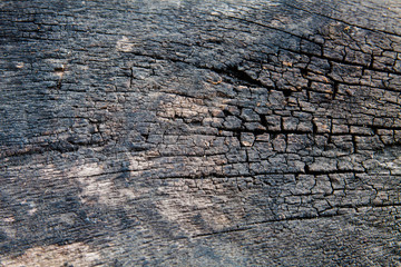 Wood texture