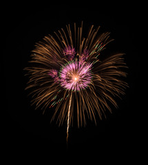 Colorful fireworks on black background