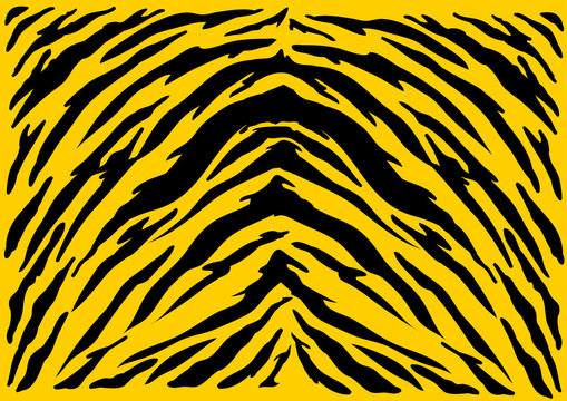 Tiger texture abstract background