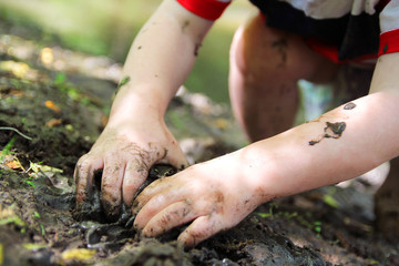 Little Child's Hands Digging in the Mud