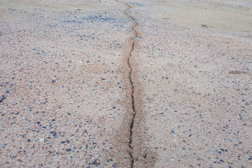 ants working around their way