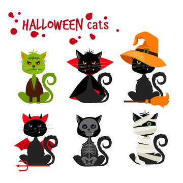 Halloween black cat fashion costume outfits. Dead cat skeleton and mummy pussy cat , zombie kitty and vampire cat vector illustration isolated on white